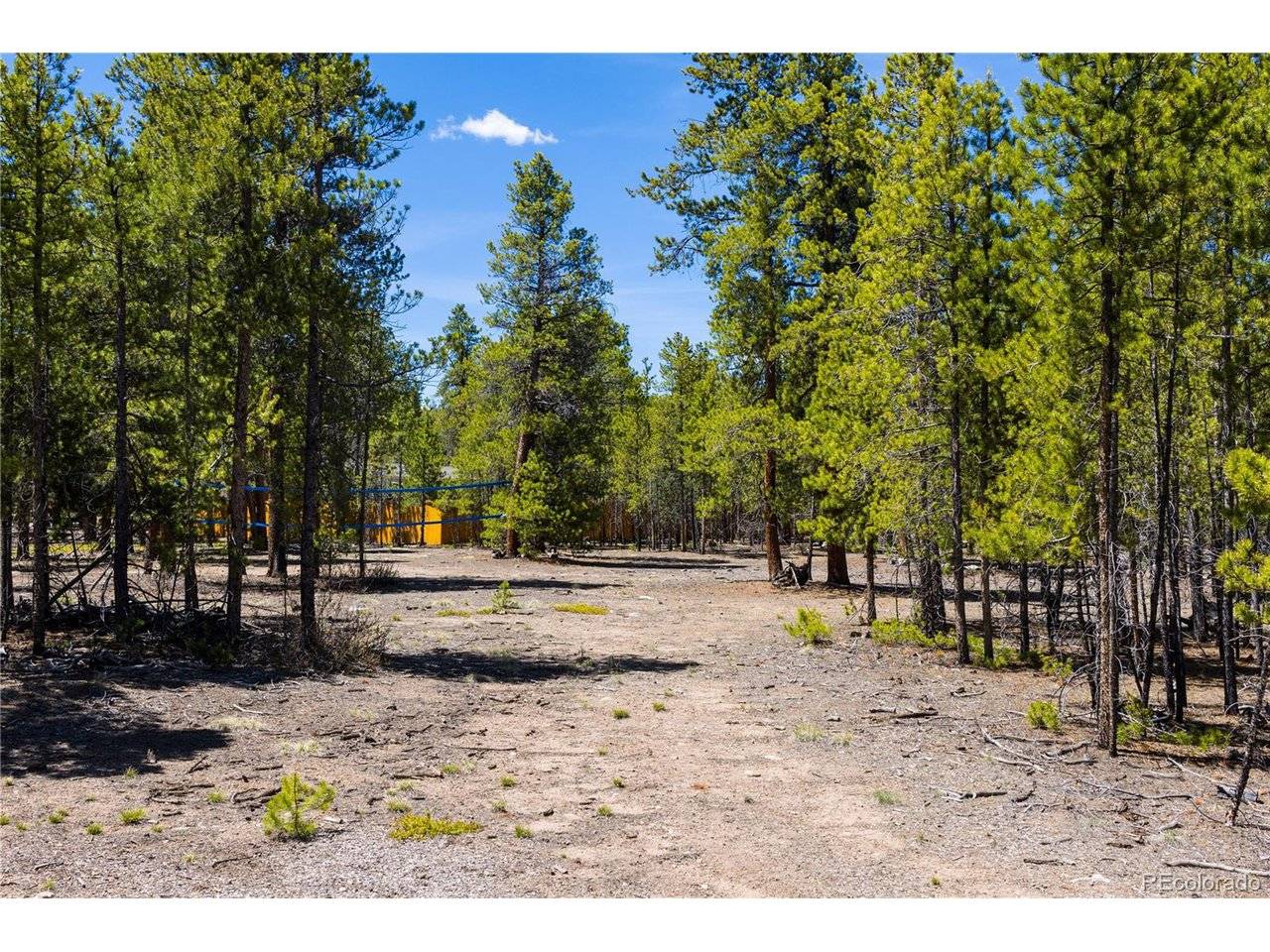 758 Spruce, Twin Lakes, CO 80461