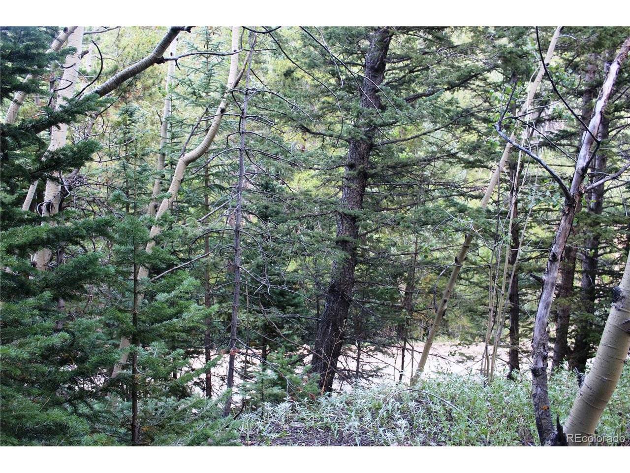 5340 FS 718.1, Black Hawk, CO 80422