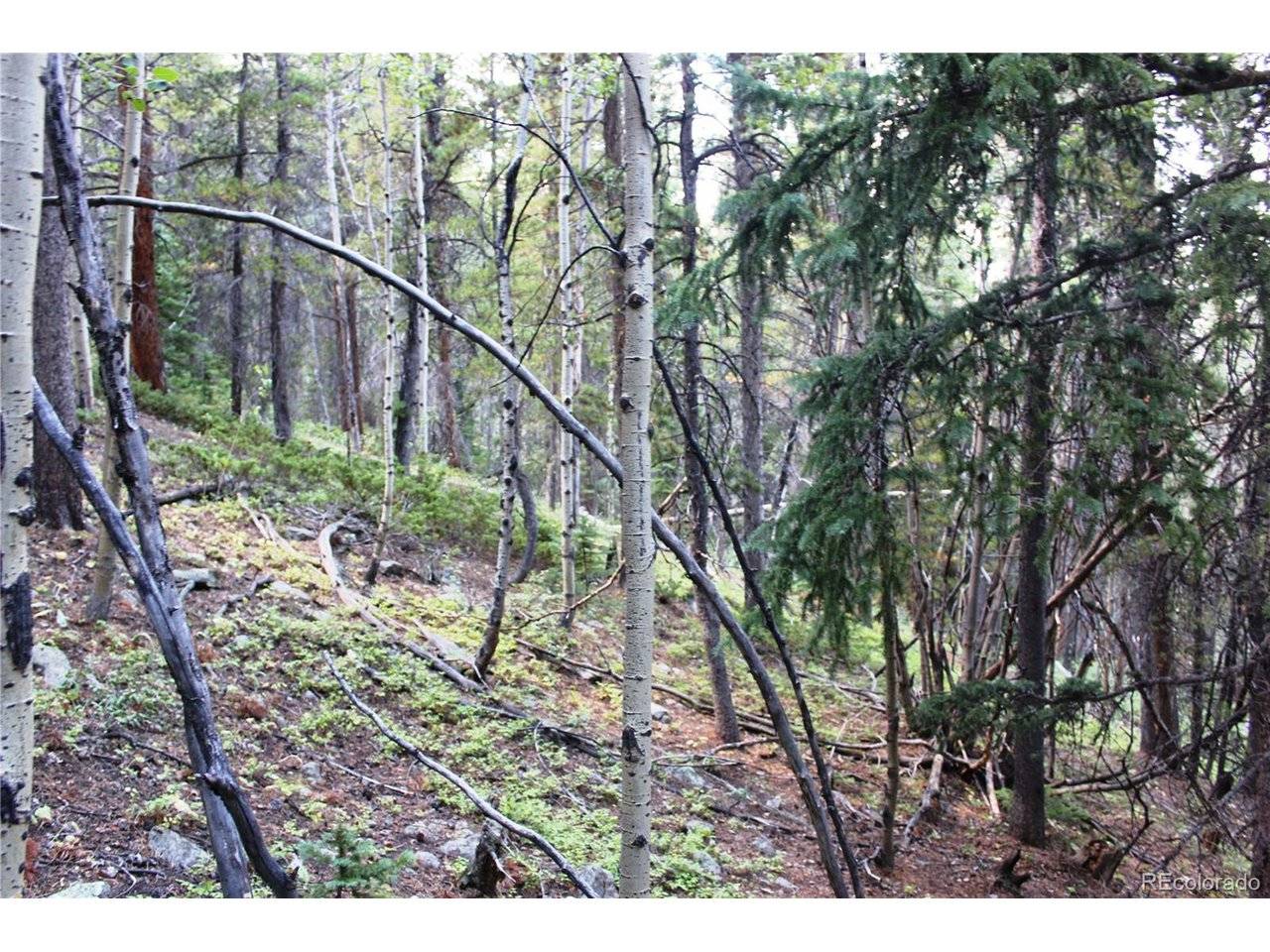 5340 FS 718.1, Black Hawk, CO 80422