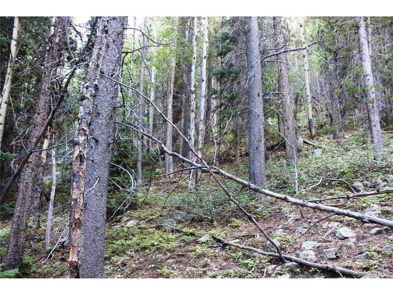 5340 FS 718.1, Black Hawk, CO 80422