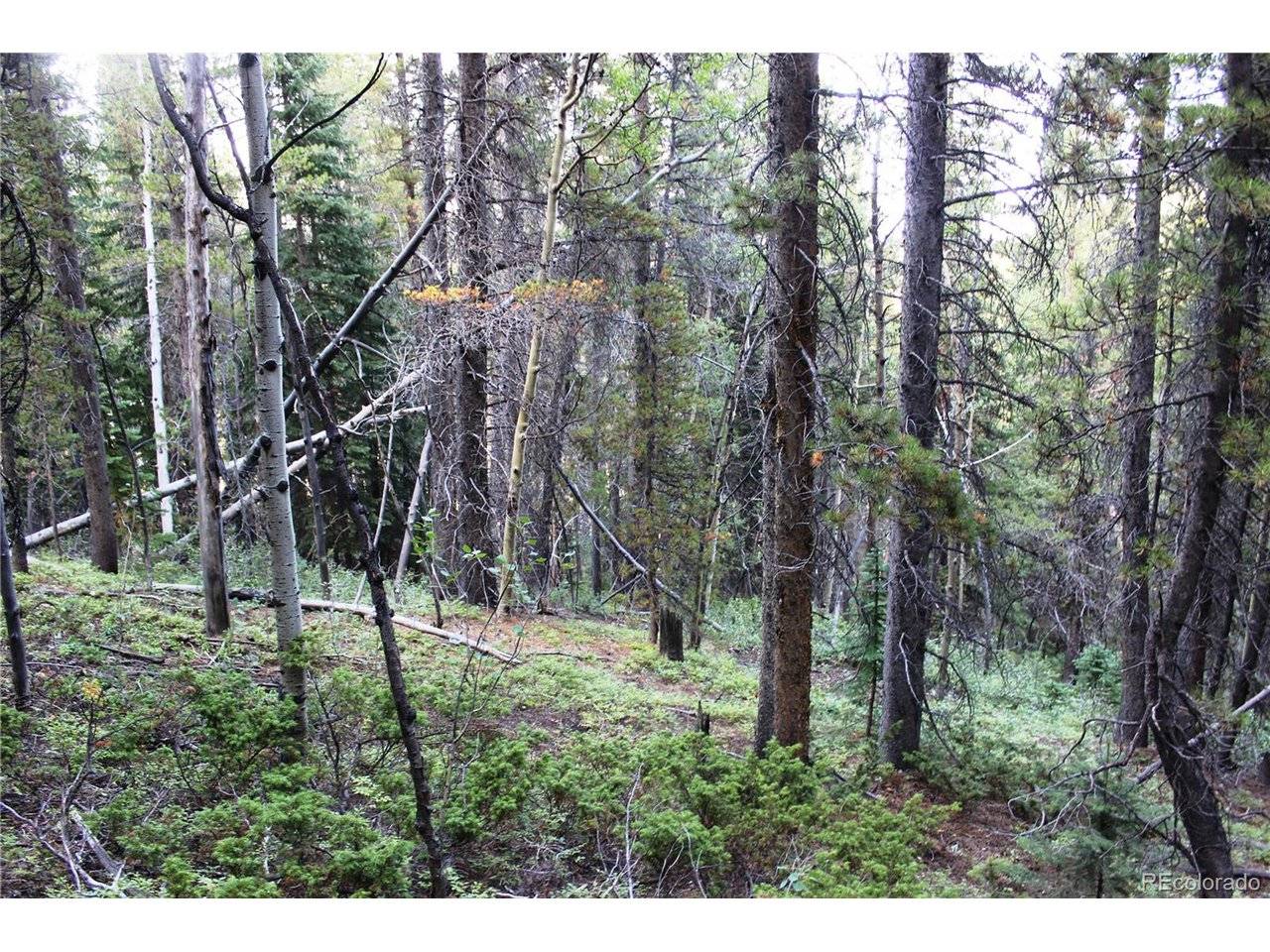5340 FS 718.1, Black Hawk, CO 80422