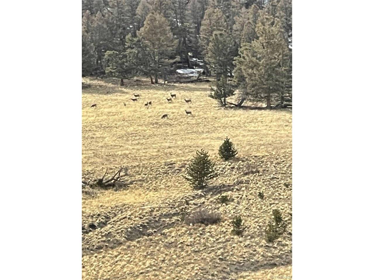 5123 Bar D, Como, CO 80432