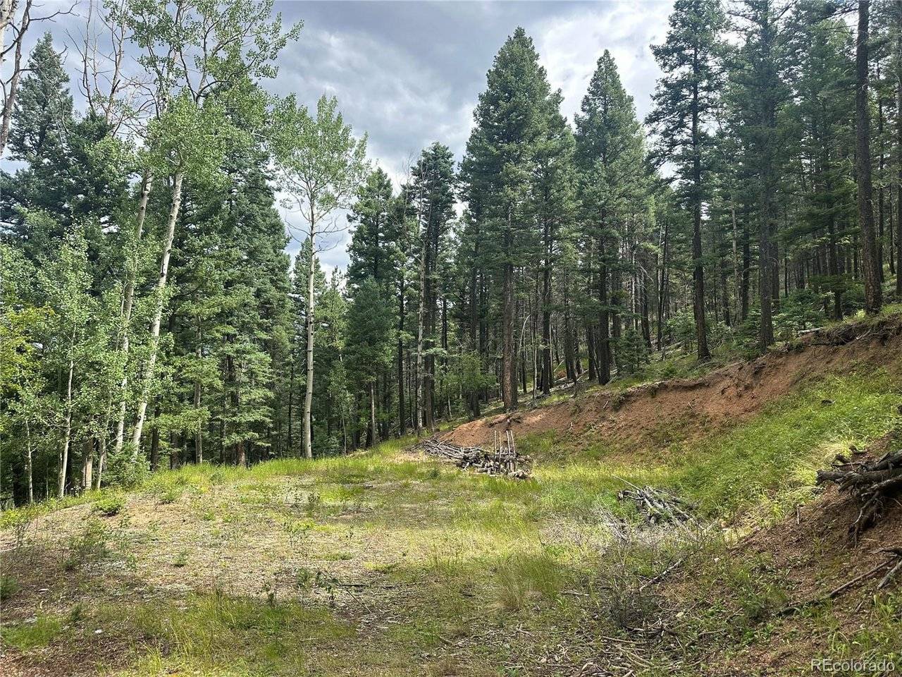 272 Fern Valley, Manitou Springs, CO 80829