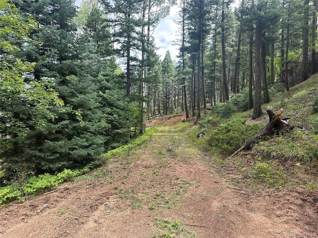 272 Fern Valley, Manitou Springs, CO 80829