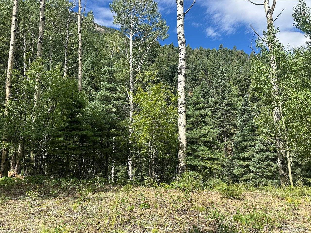 272 Fern Valley, Manitou Springs, CO 80829