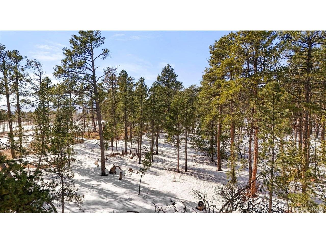 0 Snowmass, Colorado Springs, CO 80908