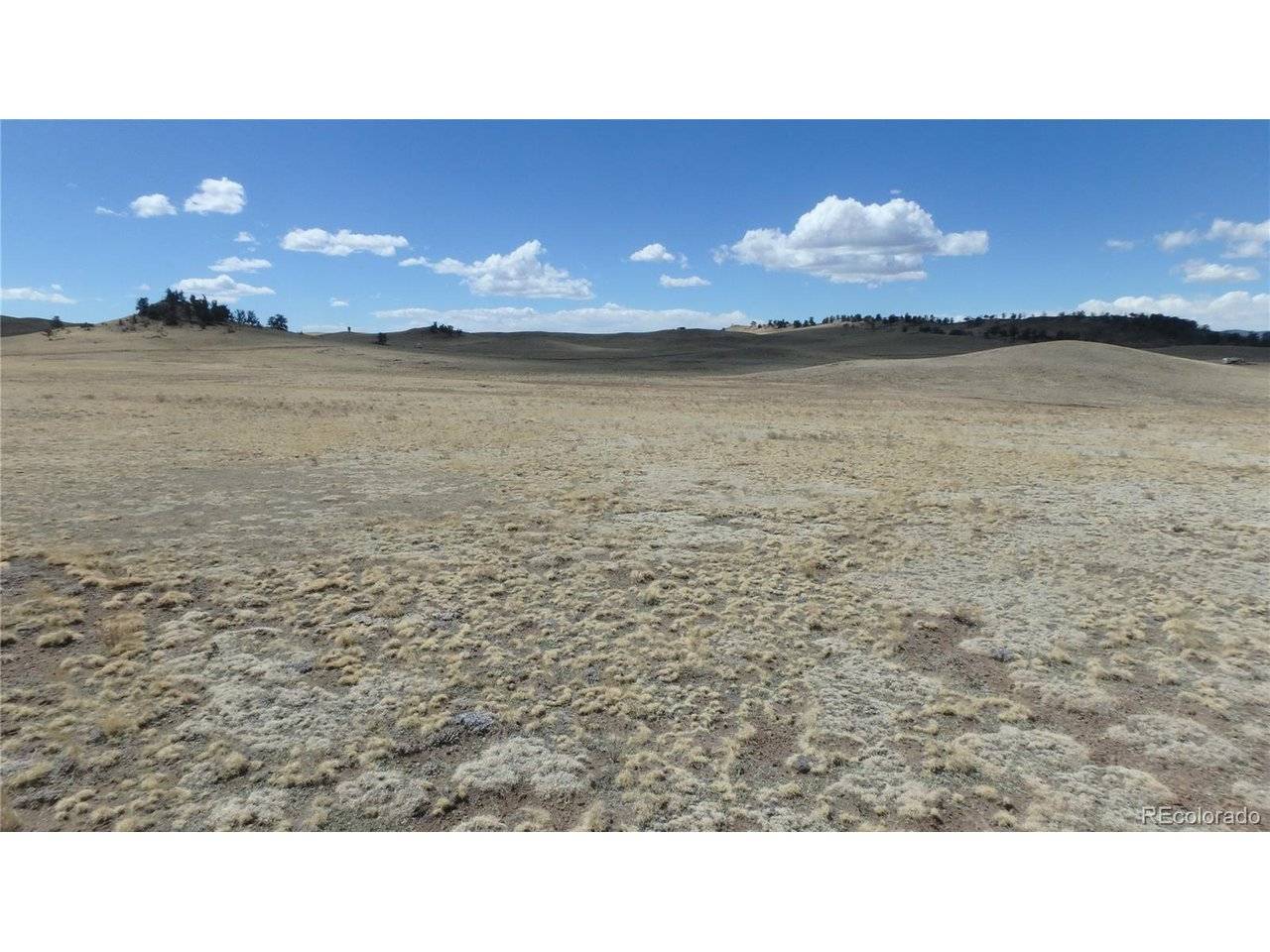 Seneca, Hartsel, CO 80449