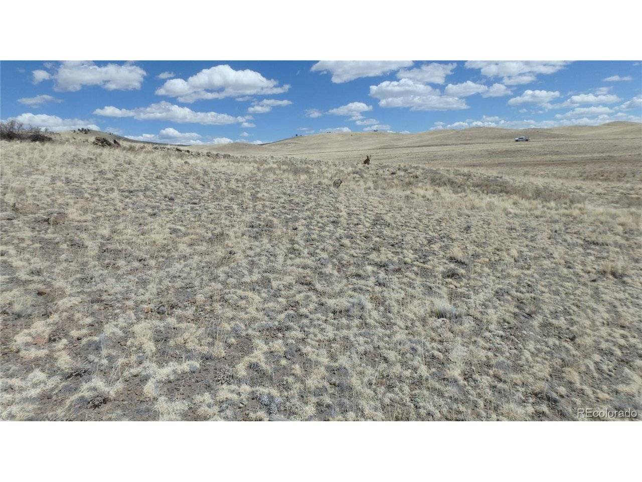 Seneca, Hartsel, CO 80449