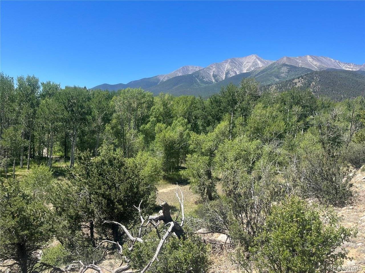 17573 Trout, Buena Vista, CO 81211
