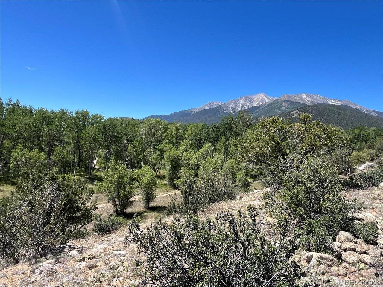 17573 Trout, Buena Vista, CO 81211