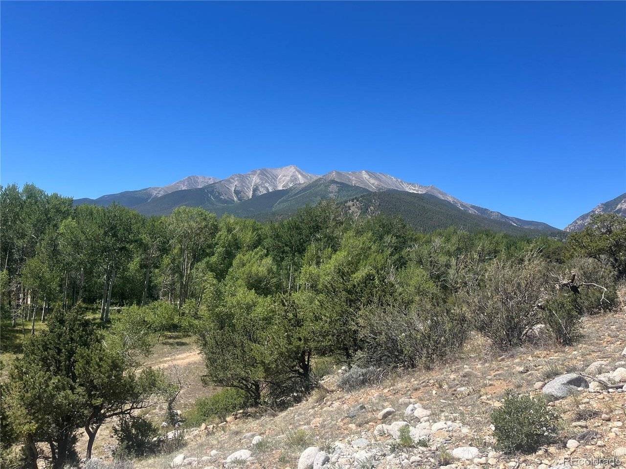 17573 Trout, Buena Vista, CO 81211