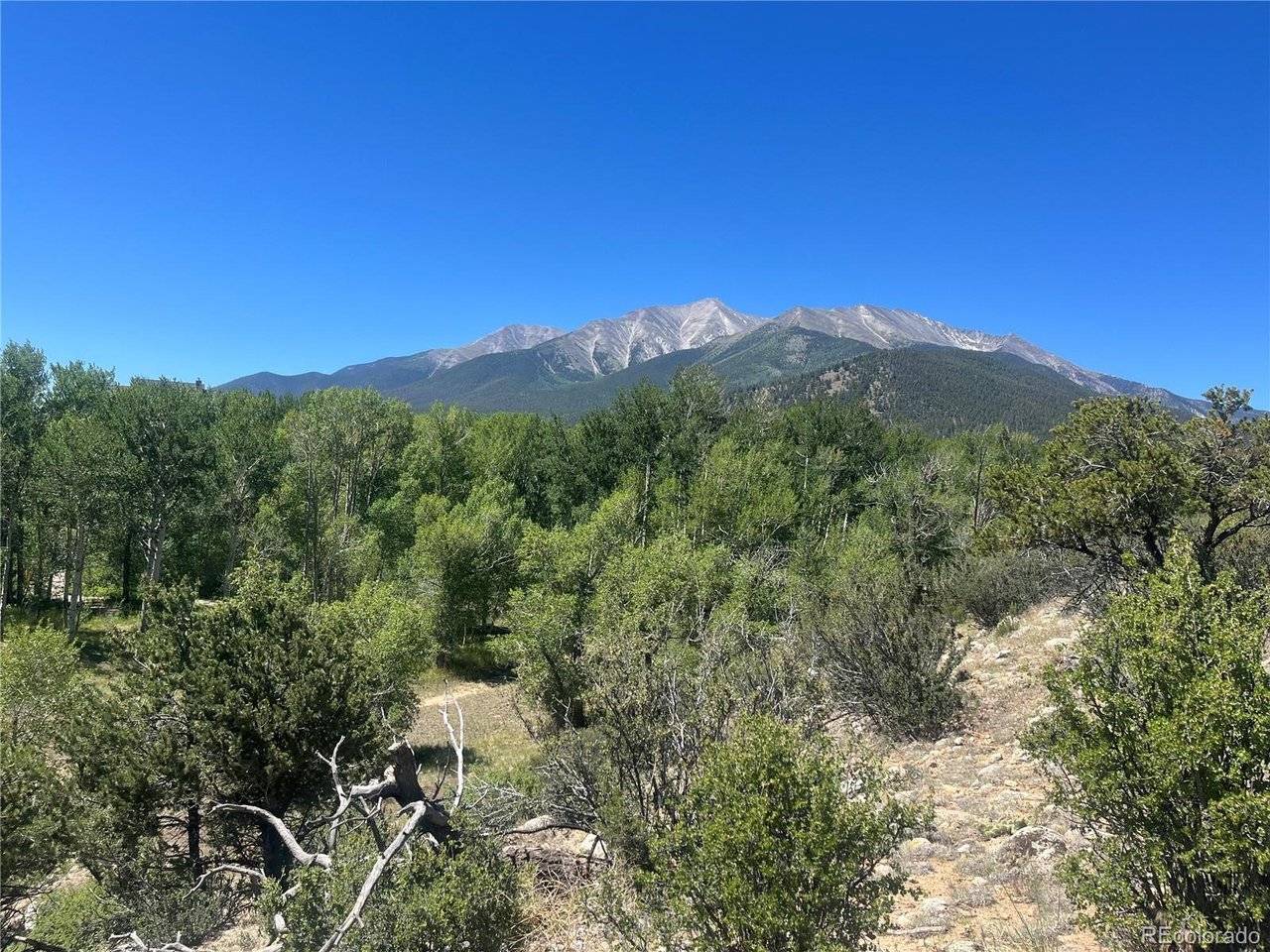 17573 Trout, Buena Vista, CO 81211