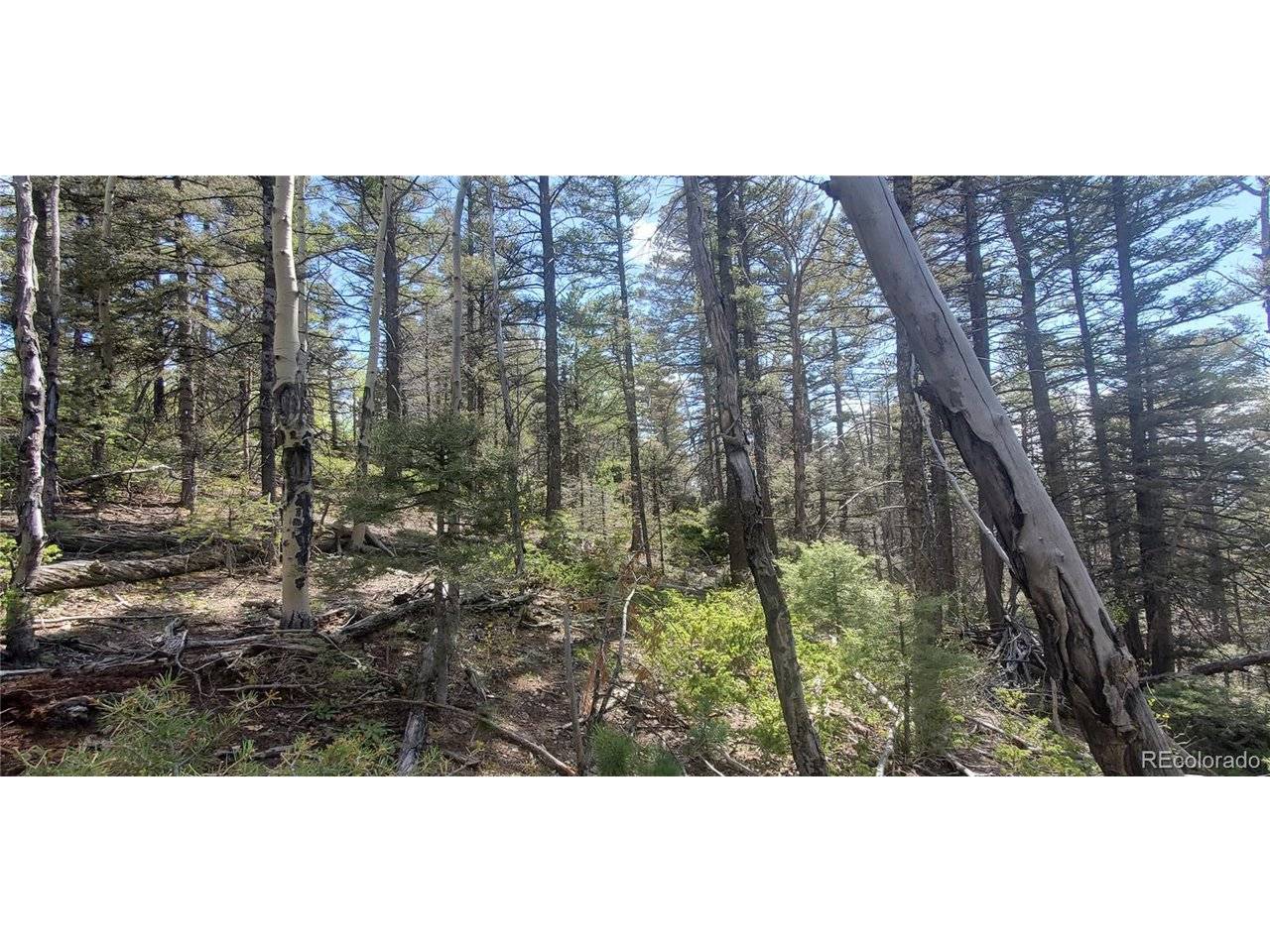 Address not disclosed, Fort Garland, CO 81133
