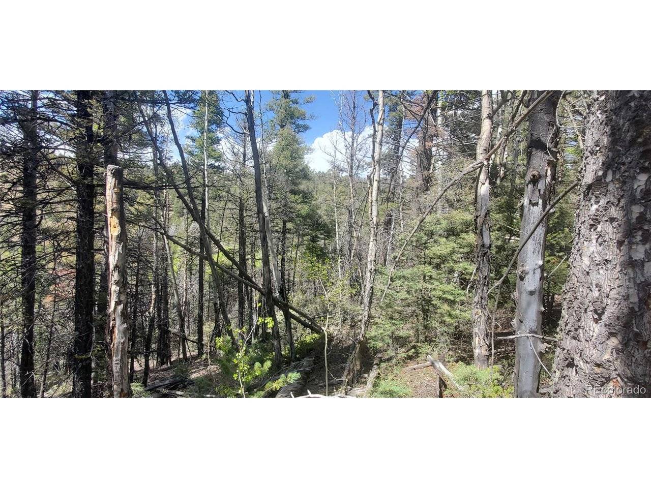 Address not disclosed, Fort Garland, CO 81133