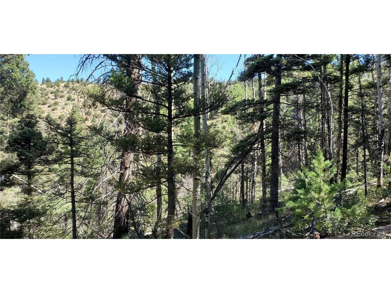 Address not disclosed, Fort Garland, CO 81133