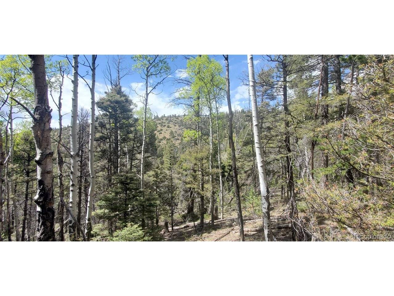 Address not disclosed, Fort Garland, CO 81133