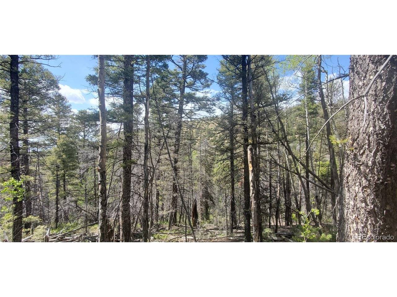 Address not disclosed, Fort Garland, CO 81133
