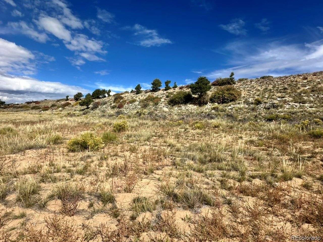 24266 River Rock, Buena Vista, CO 81211