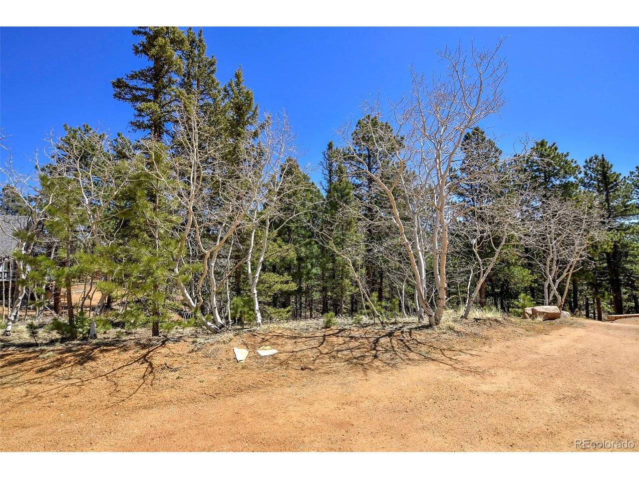 860 Spring Valley, Divide, CO 80814