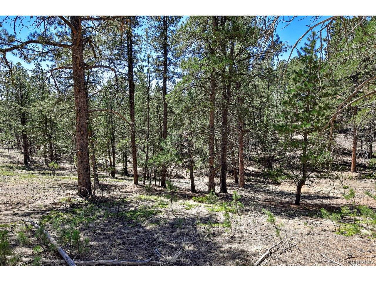 860 Spring Valley, Divide, CO 80814