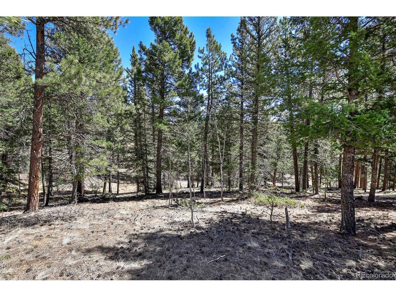 860 Spring Valley, Divide, CO 80814