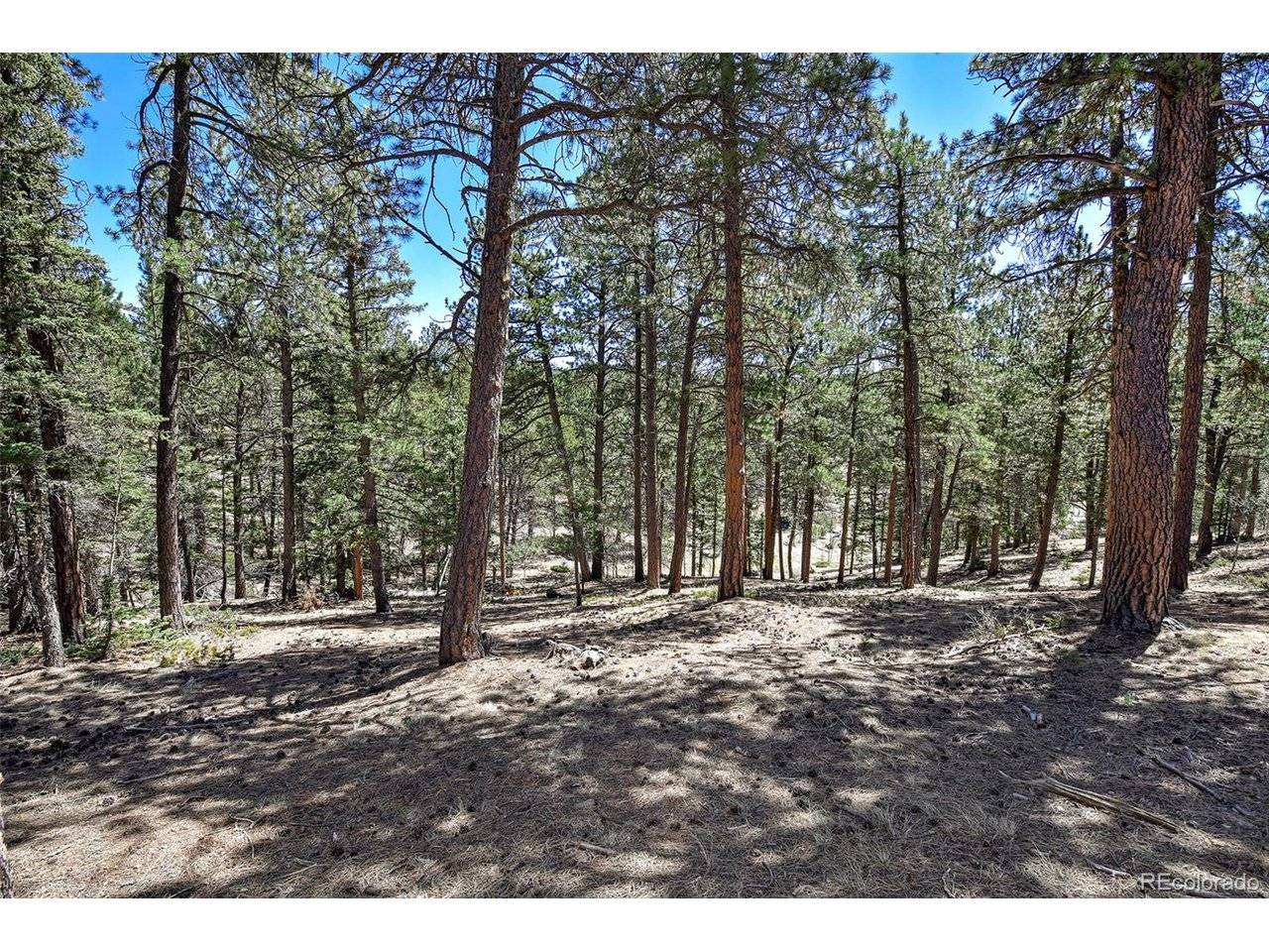 860 Spring Valley, Divide, CO 80814
