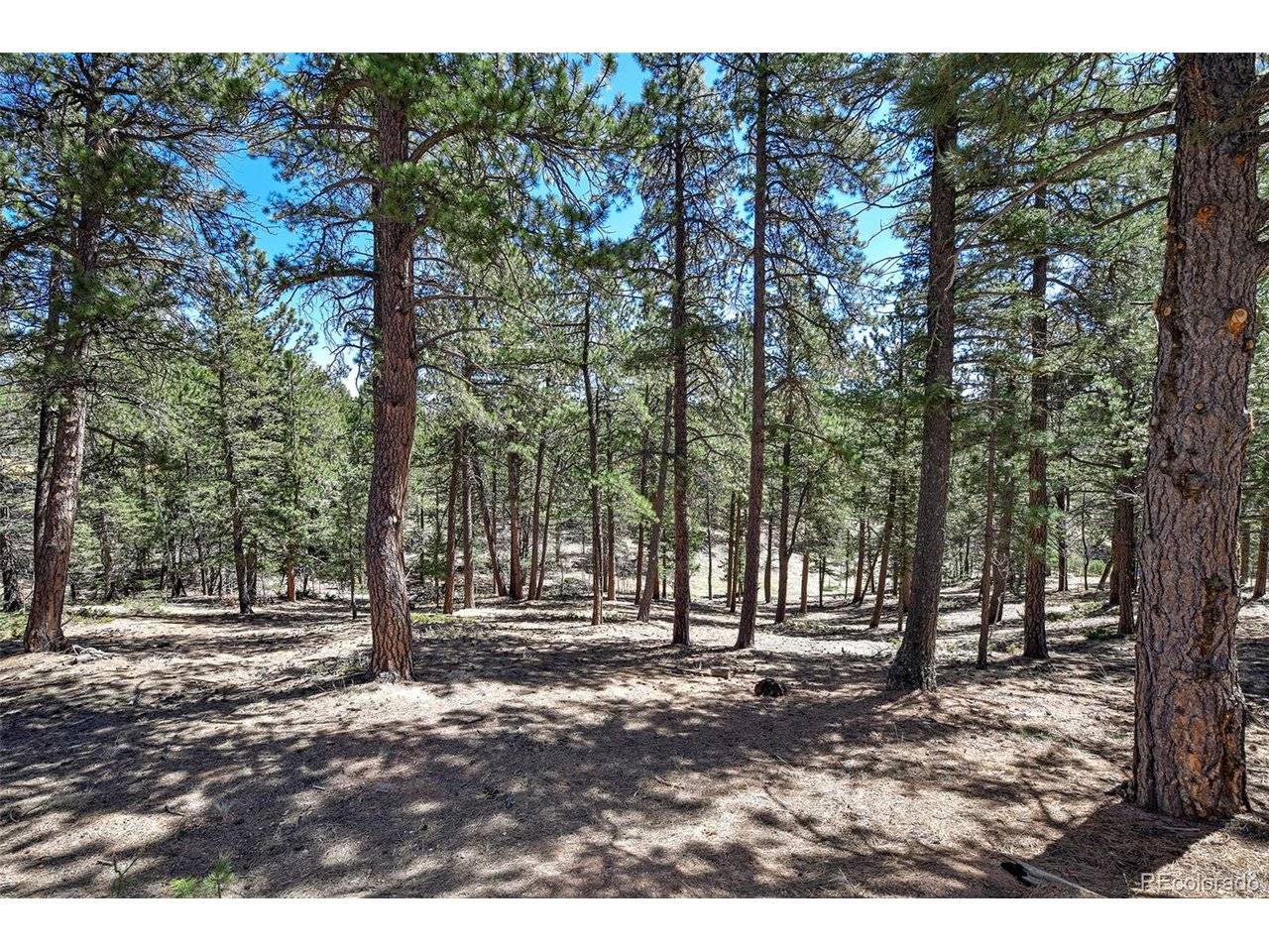 860 Spring Valley, Divide, CO 80814