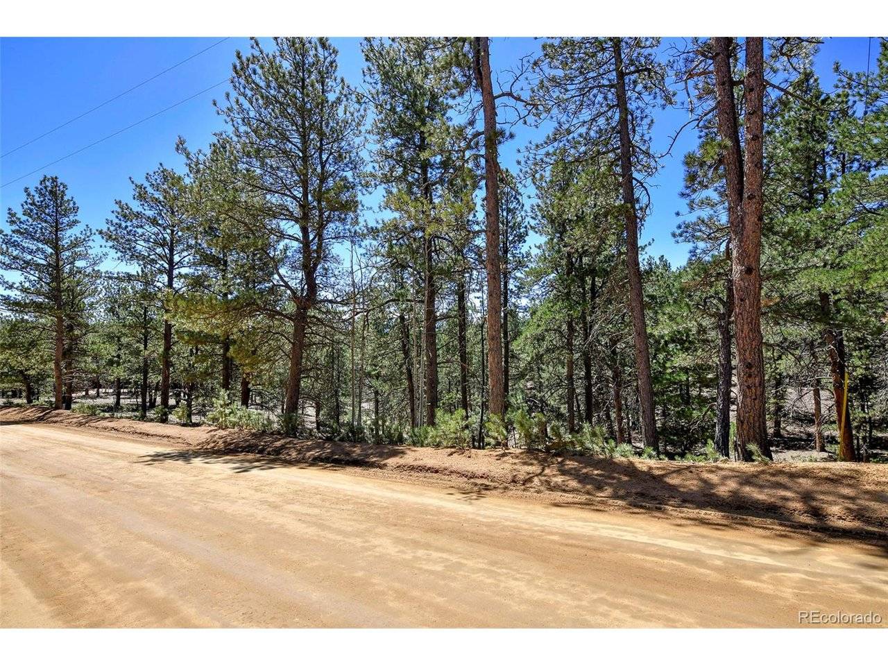 860 Spring Valley, Divide, CO 80814
