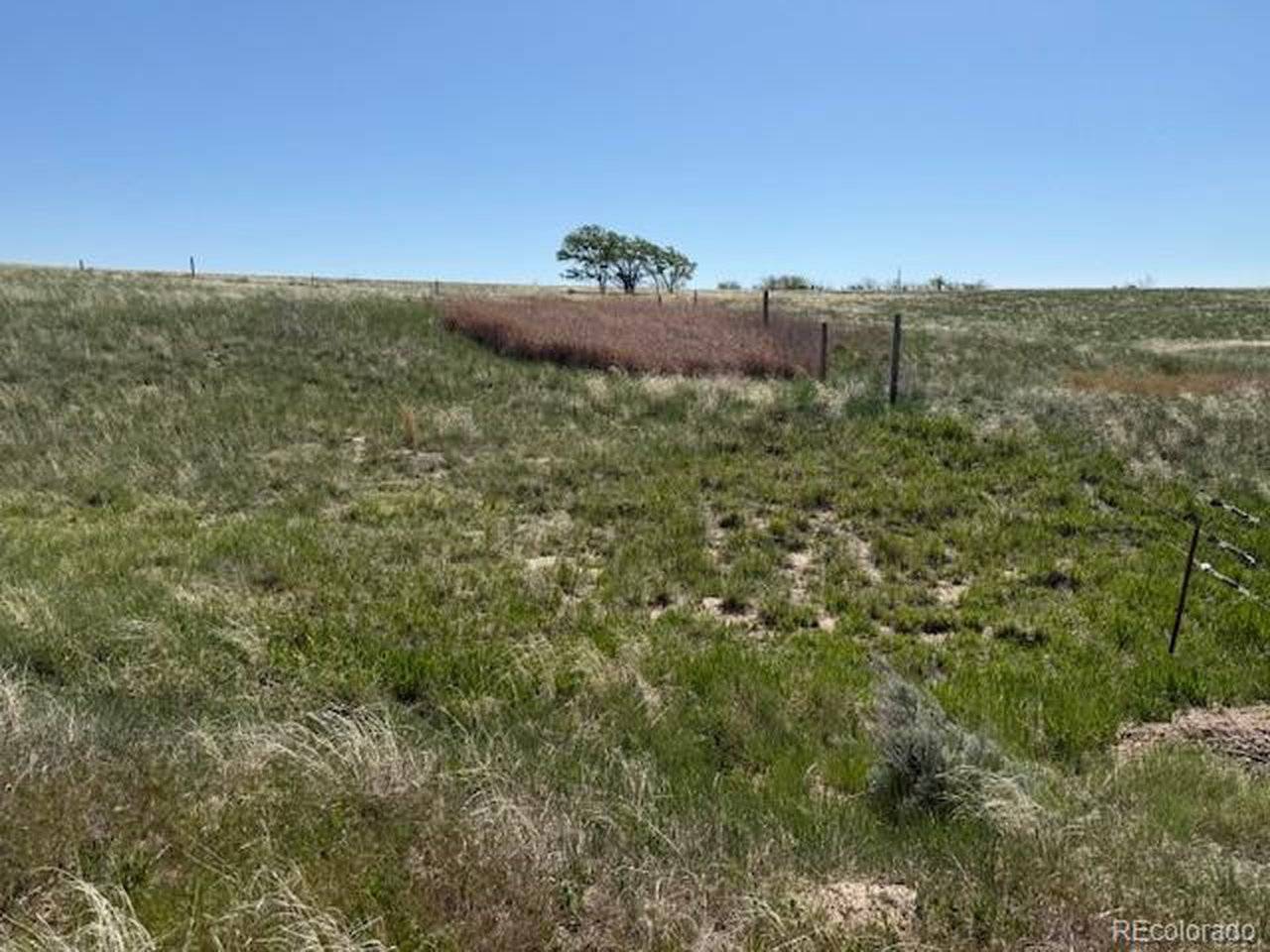 36 Arlyn, Wray, CO 80758