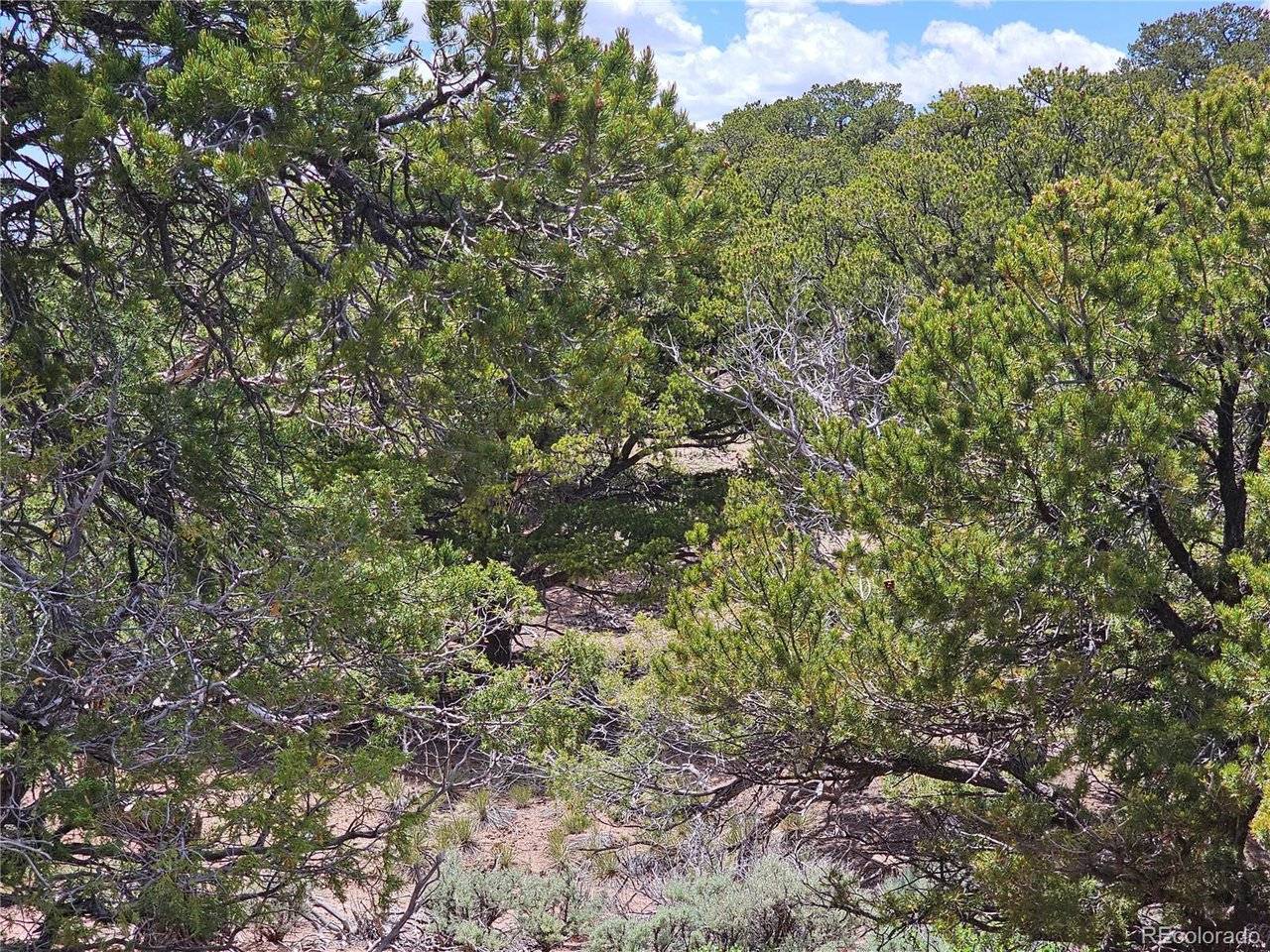 3953 Kruest, Fort Garland, CO 81133