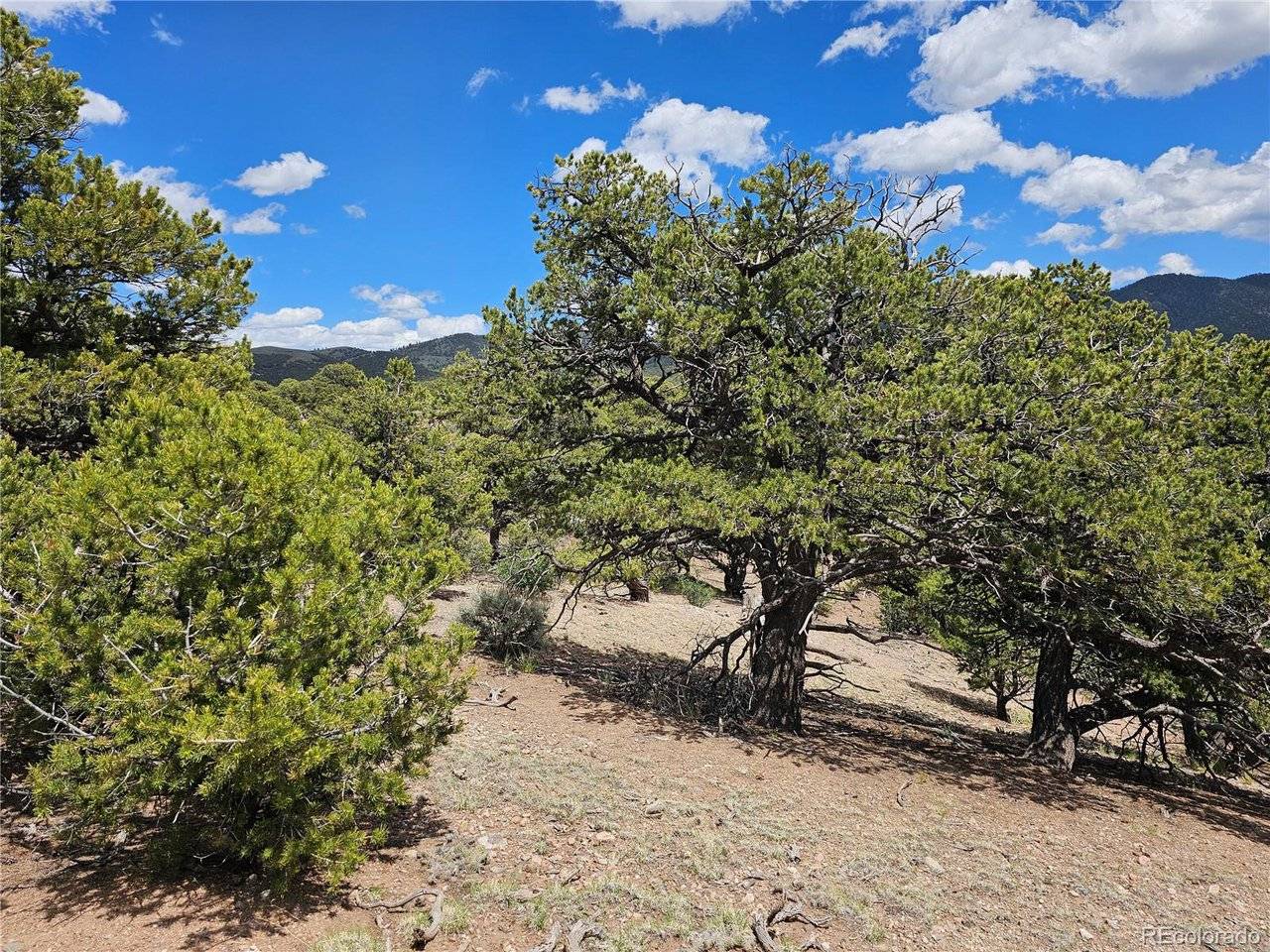 3953 Kruest, Fort Garland, CO 81133