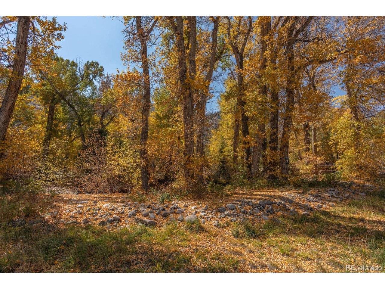 17380 Willow Tree, Salida, CO 81201