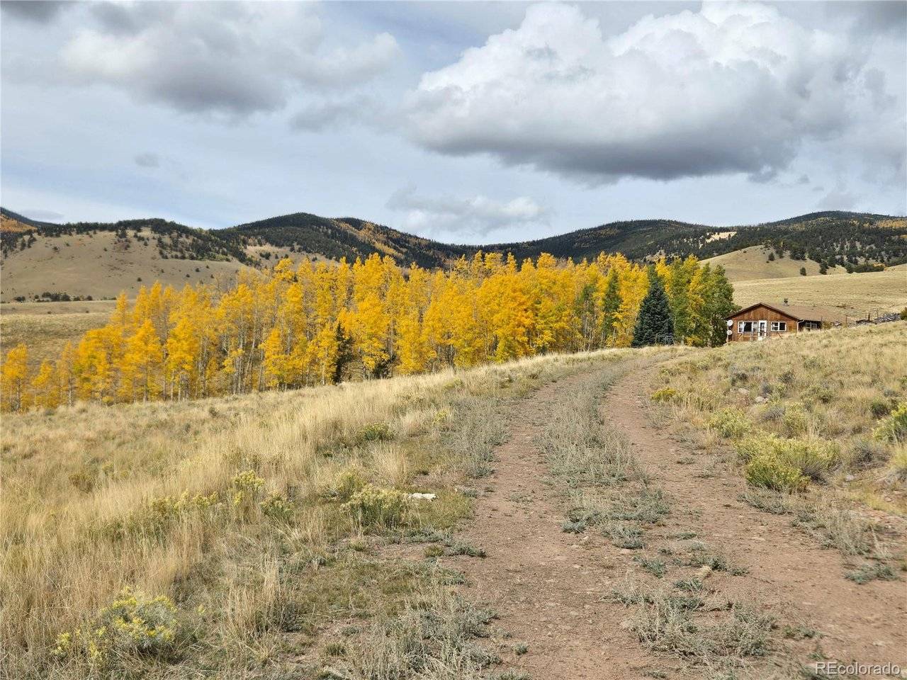 586 Cuesta, Cotopaxi, CO 81223