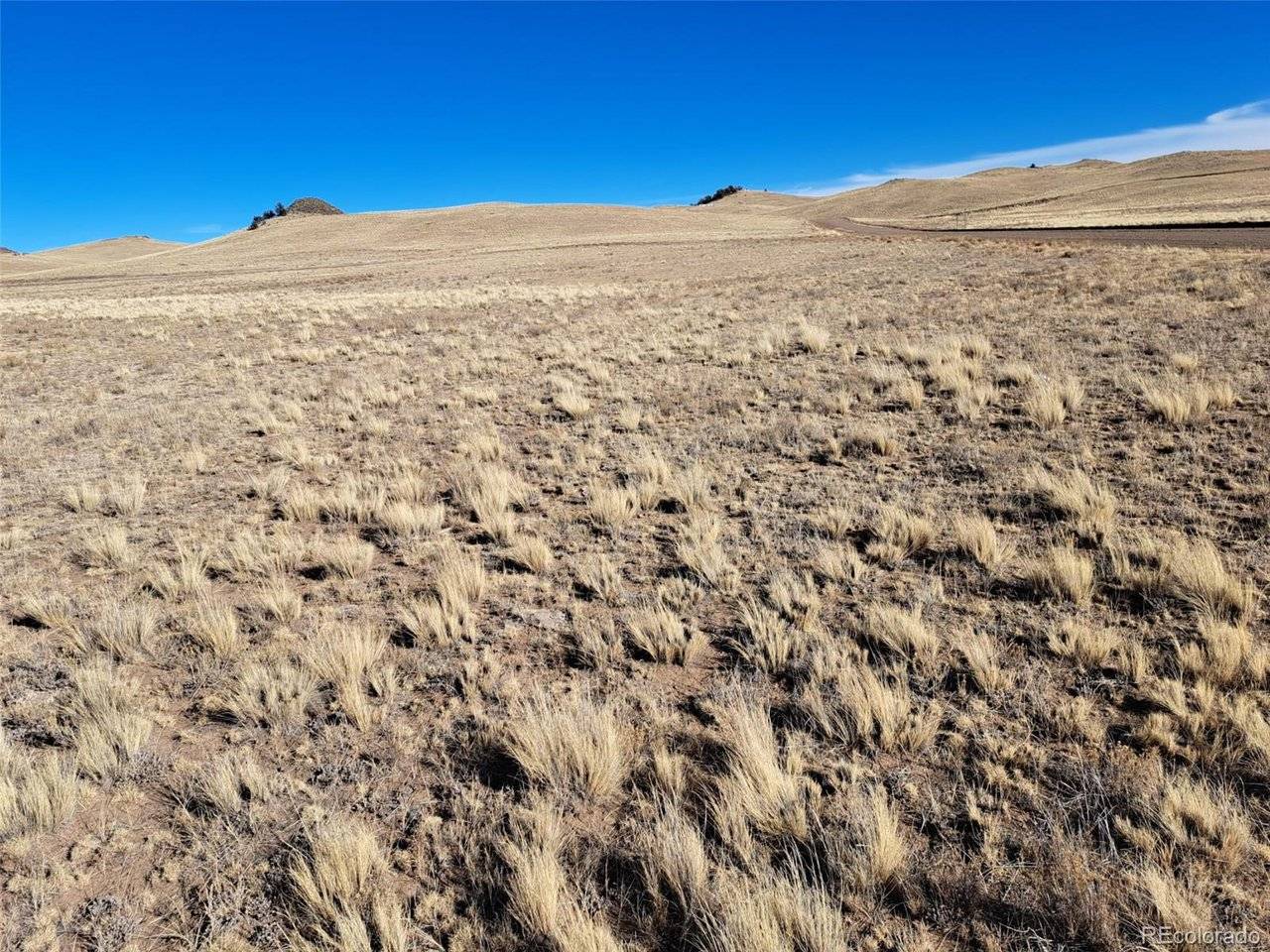 0 Maskoke, Hartsel, CO 80449