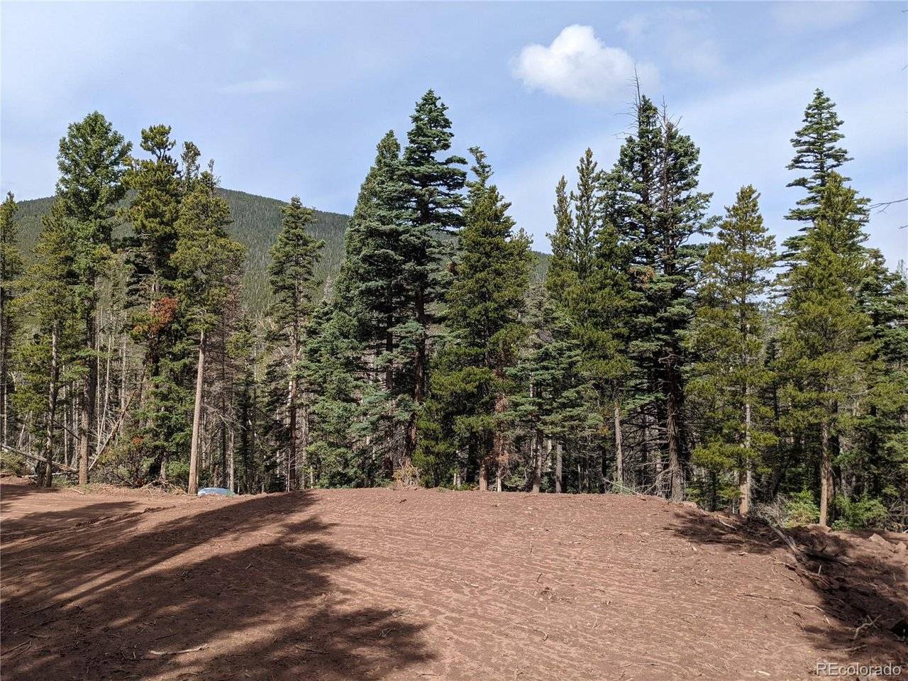 3331 Purnell, Fort Garland, CO 81133