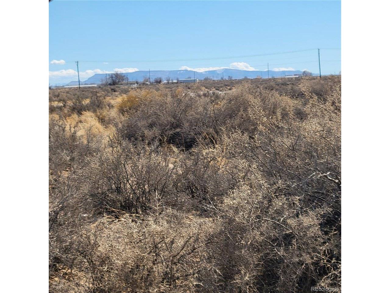 54 Chico, Alamosa, CO 81101