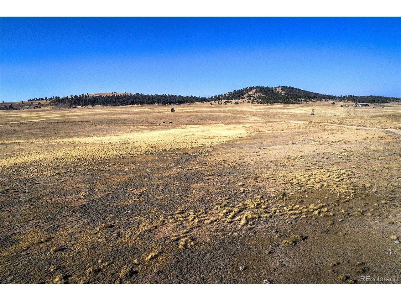 9128 Elkhorn, Hartsel, CO 80449