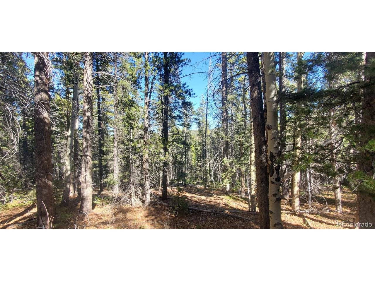 3023 Bolwell, Fort Garland, CO 81133