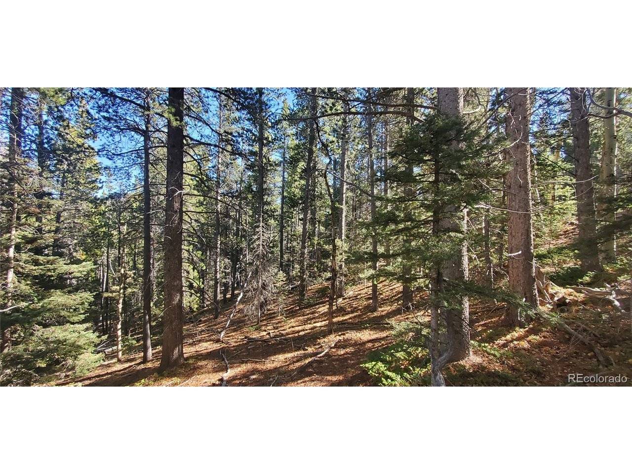 3023 Bolwell, Fort Garland, CO 81133