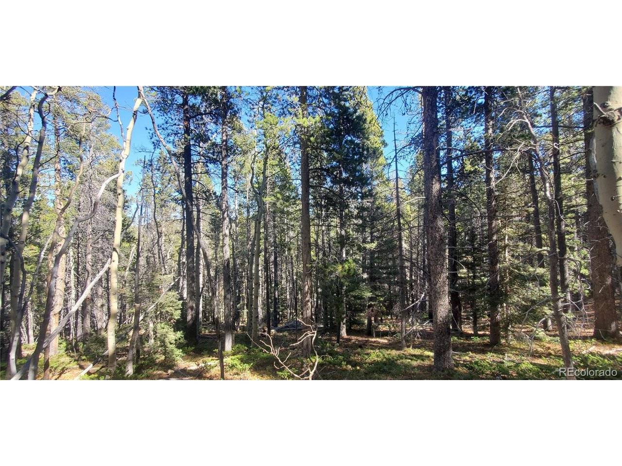 3023 Bolwell, Fort Garland, CO 81133