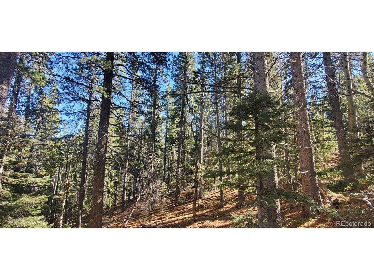 3023 Bolwell, Fort Garland, CO 81133