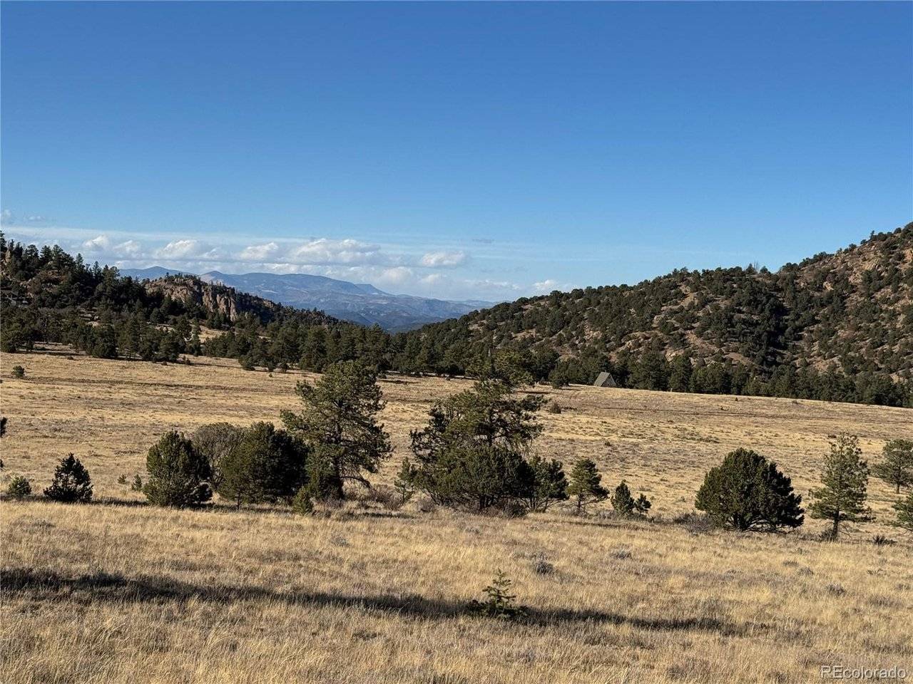 35 Stephens, Westcliffe, CO 81252
