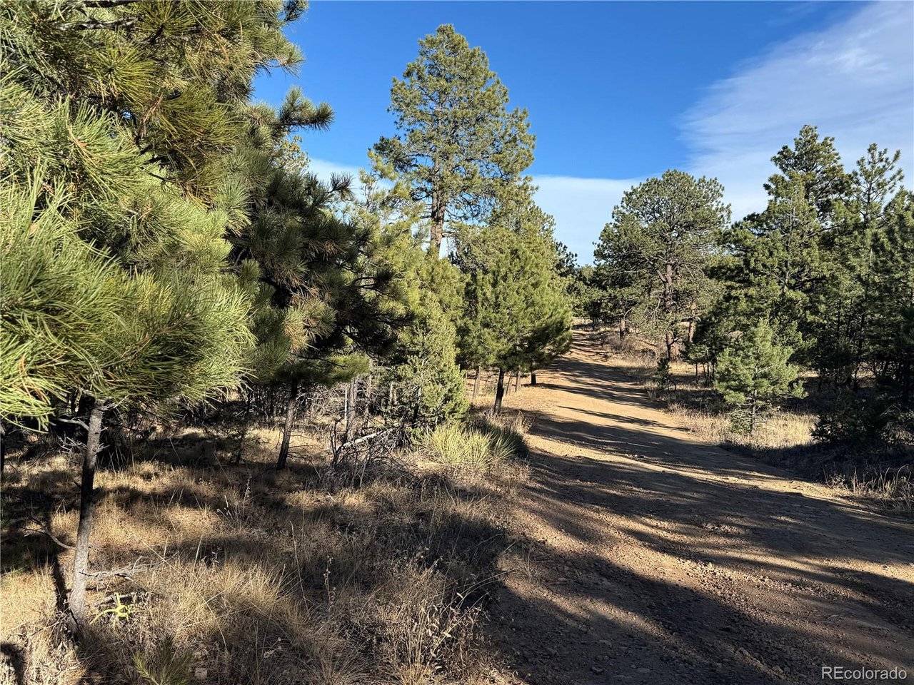 35 Stephens, Westcliffe, CO 81252