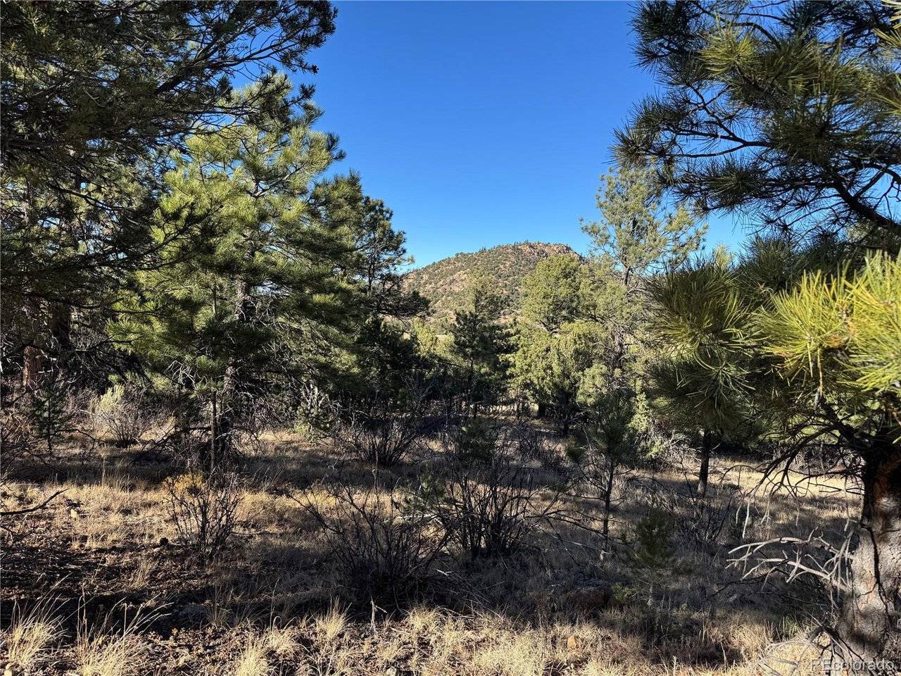 35 Stephens, Westcliffe, CO 81252