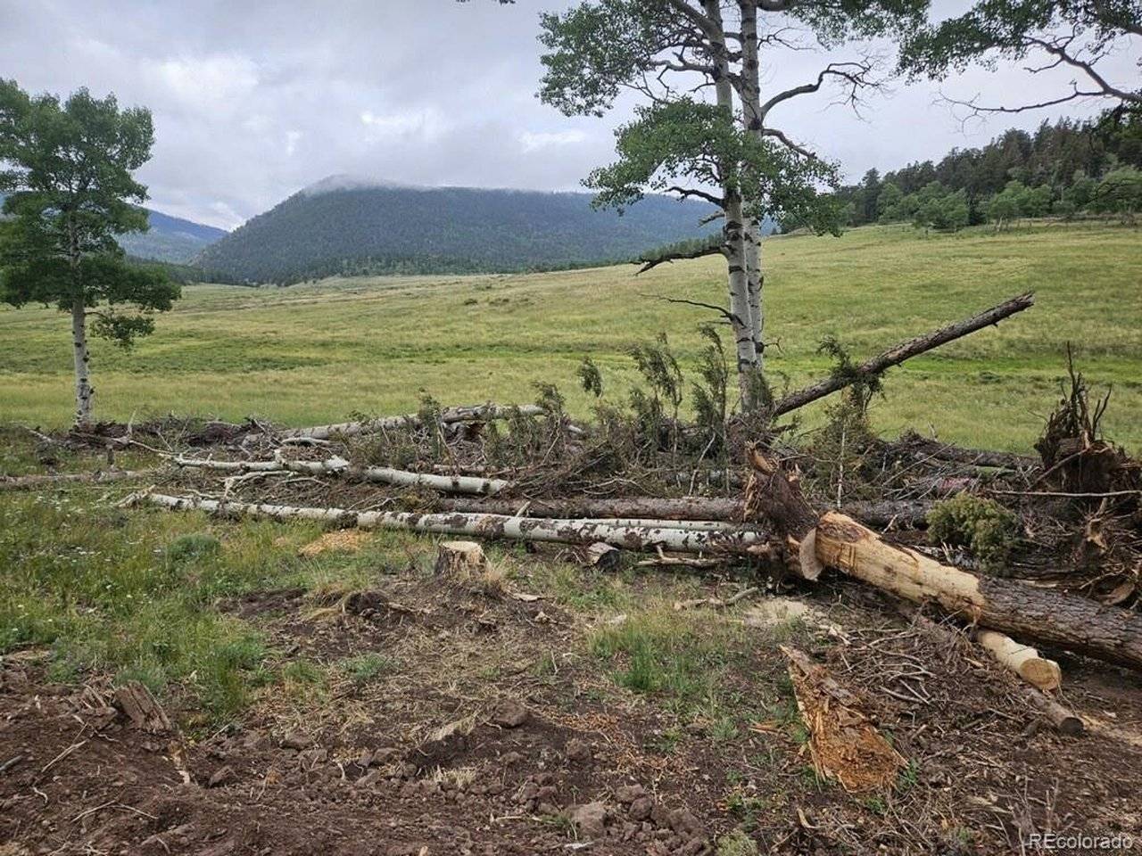 Address not disclosed, Fort Garland, CO 81133