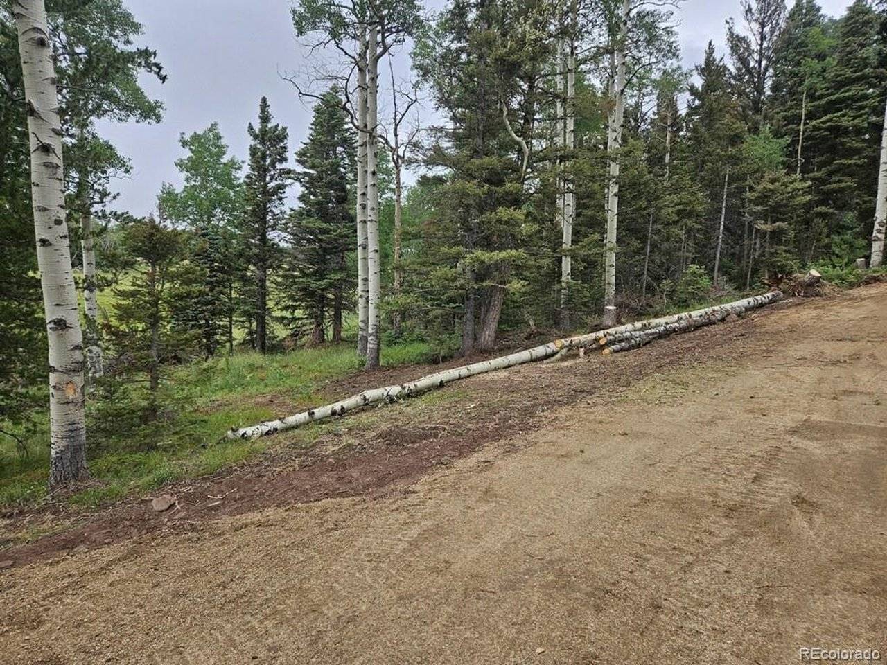 Address not disclosed, Fort Garland, CO 81133