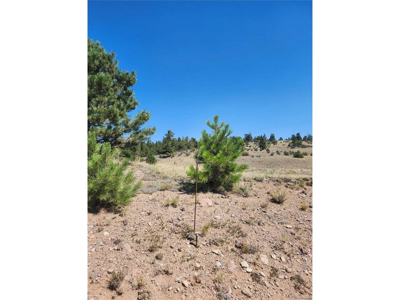 64 Bandana, Hartsel, CO 80449
