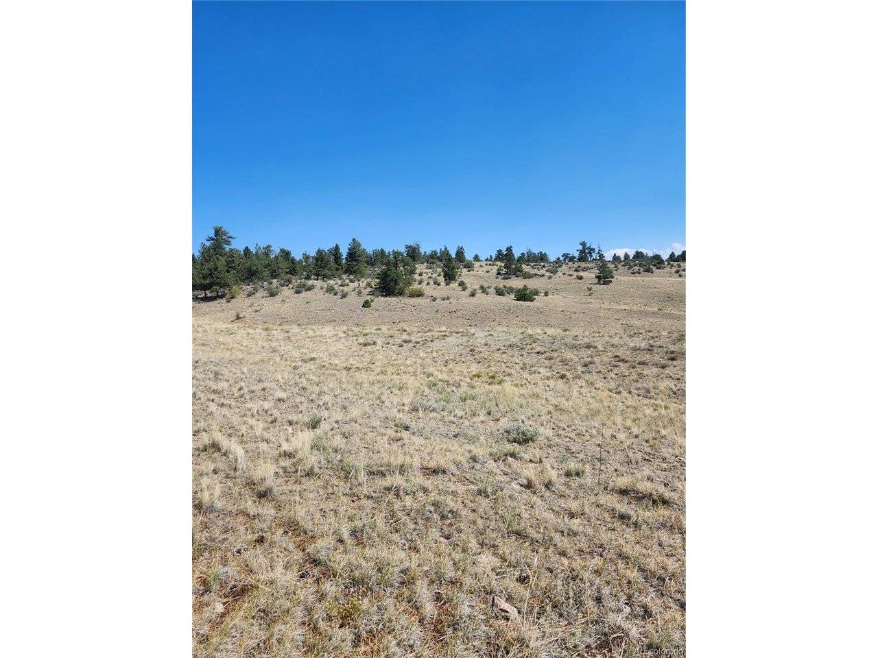 64 Bandana, Hartsel, CO 80449