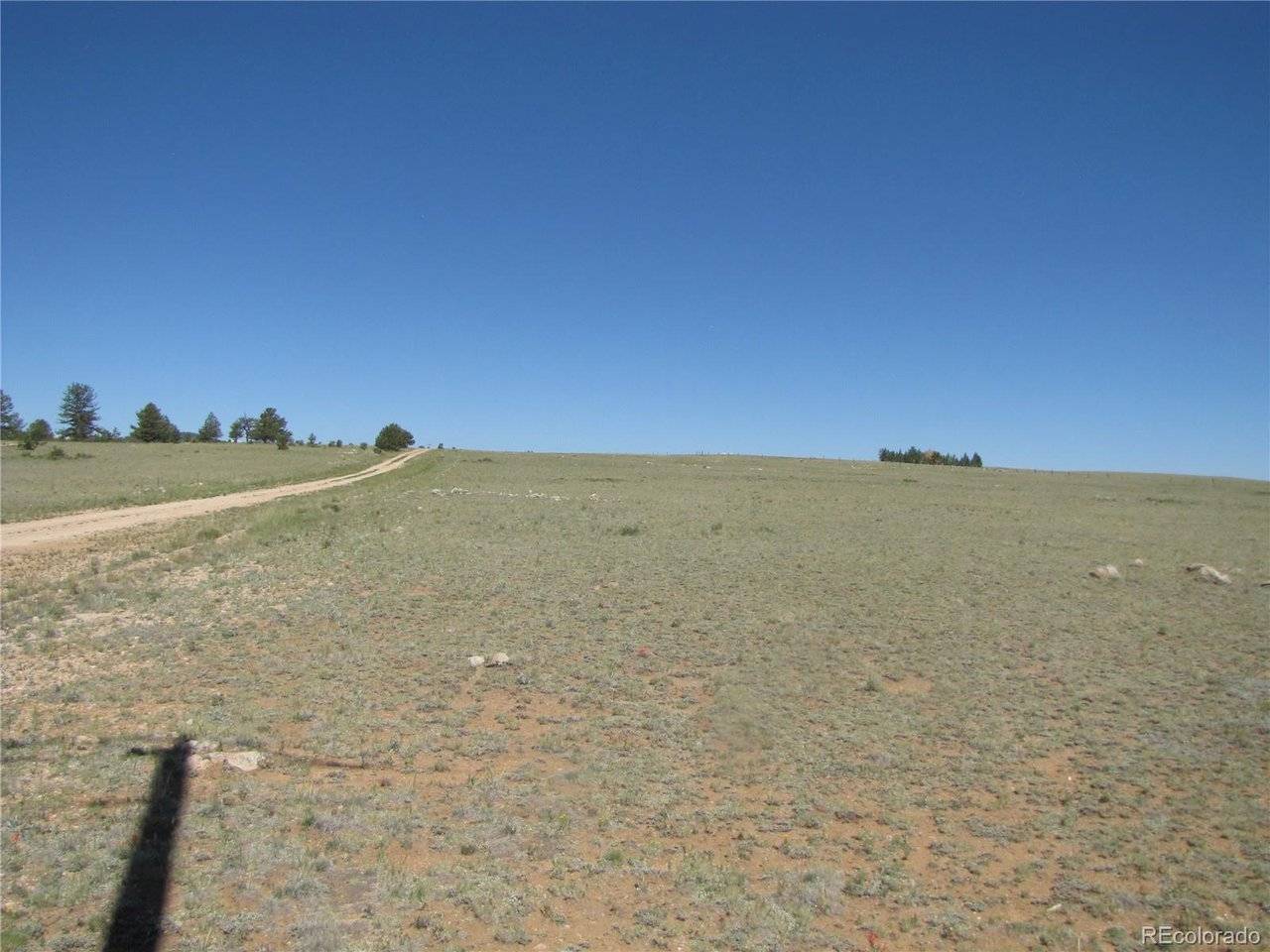 915 Olympic, Hartsel, CO 80449