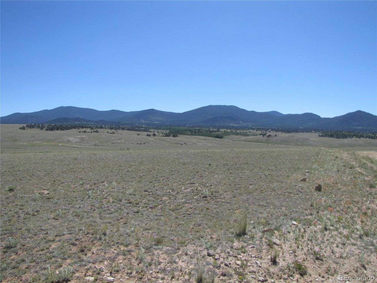 915 Olympic, Hartsel, CO 80449